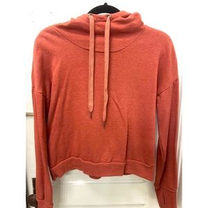 TWO Cropped Hoodies Mauve and Lavender